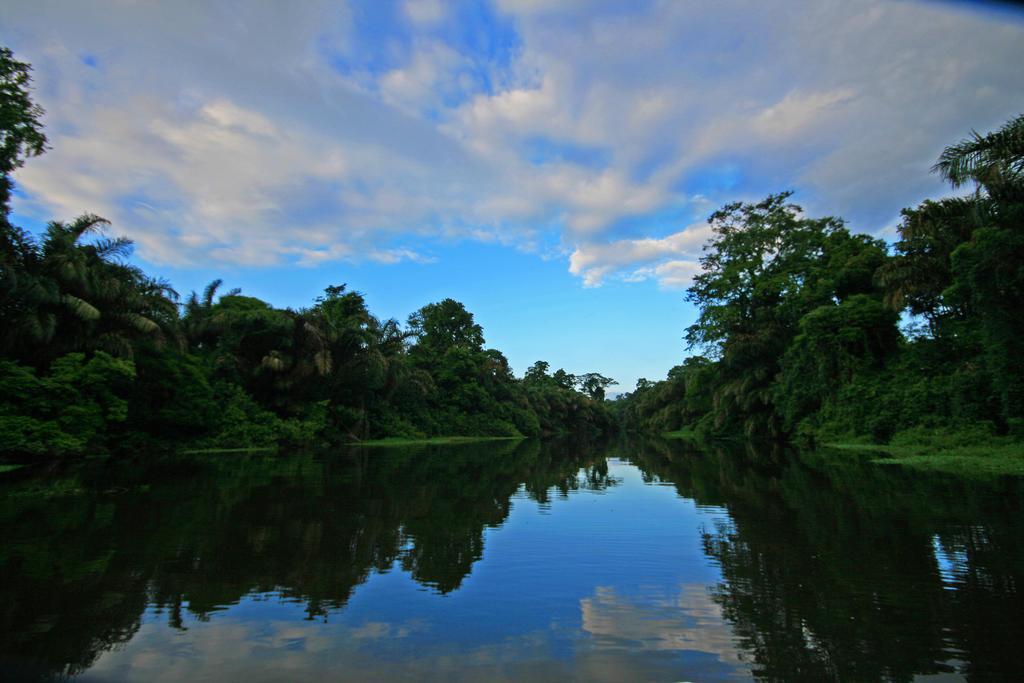 Manatus Hotel Tortuguero Exterior photo