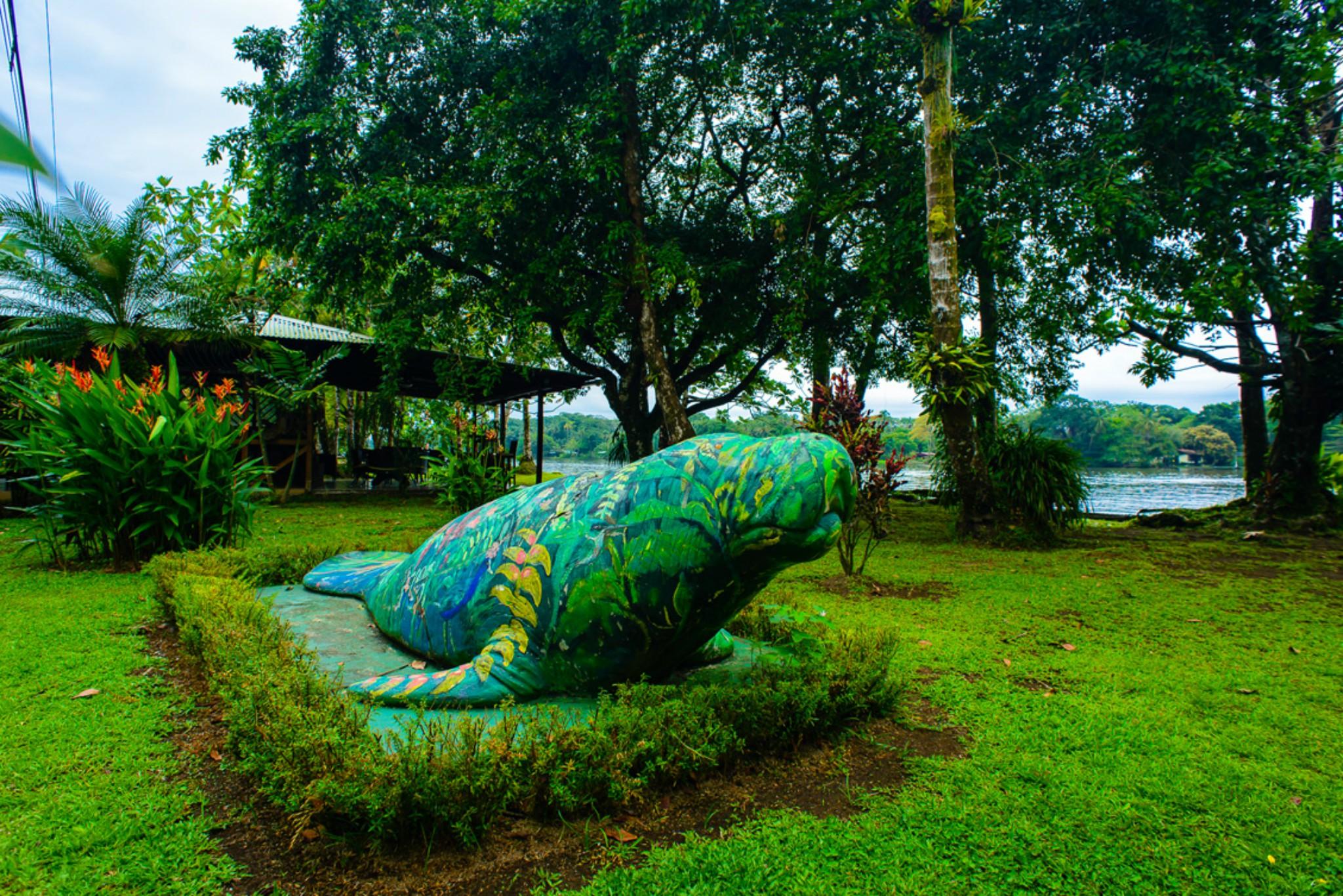 Manatus Hotel Tortuguero Exterior photo