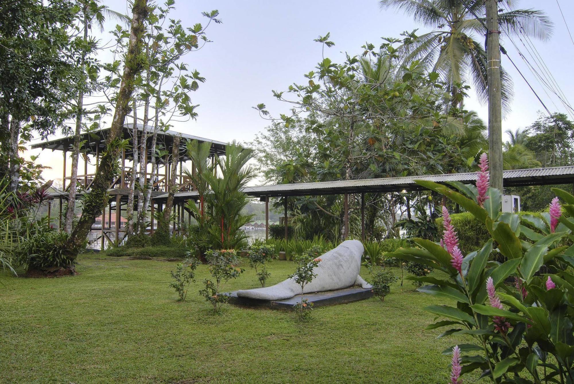 Manatus Hotel Tortuguero Exterior photo